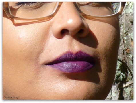 fall edition rouge à lèvres automne matte liquid lipstick coloured raine raine fever swatch simplement marilyne