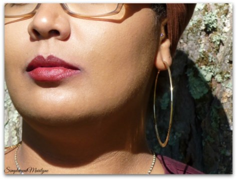 fall edition rouge à lèvres automne matte diva mac swatch simplement marilyne