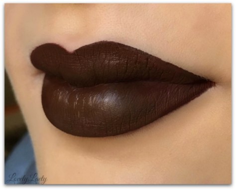 swatch-lady-boss-peau-claire-gc-boss-lady-gerard-cosmectics-swatch-hydra-matte-liquid-lipstick-rouge-a-levres-marron-simplement-marilyne