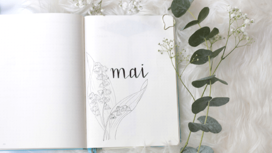 Plan with me : May in my bullet journal
